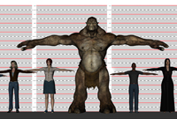 Character Height Study
